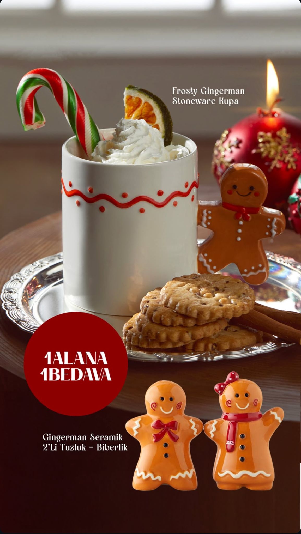 Kampanya | English Home