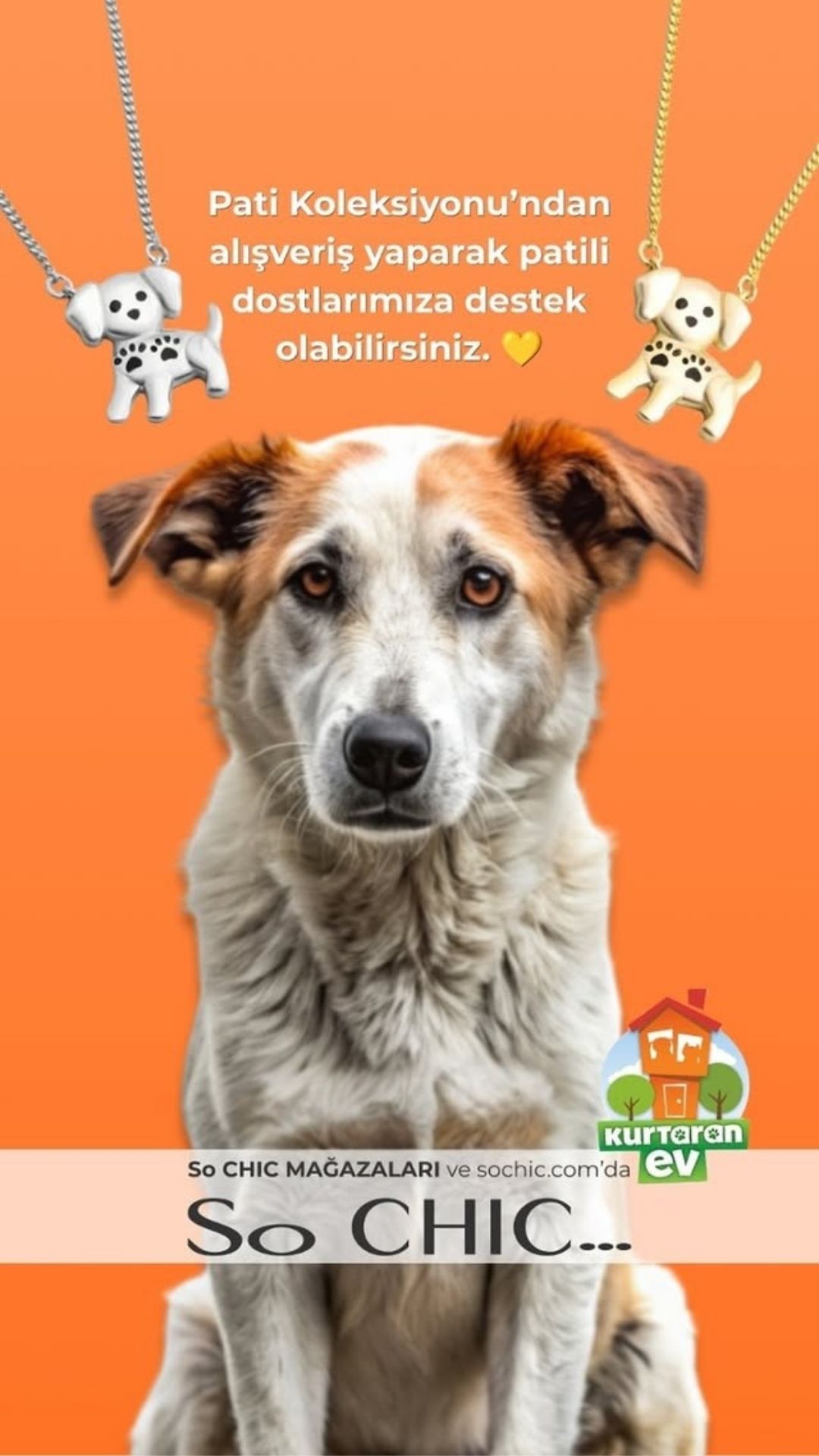 Kampanya | SO CHİC